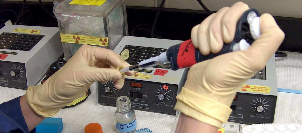 Laboratório Prático